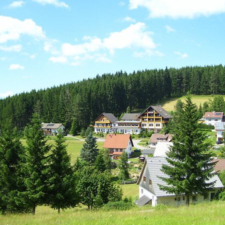 Hotel Bed & Breakfast Auerhahn - Black Forest Eisenbach  Zewnętrze zdjęcie