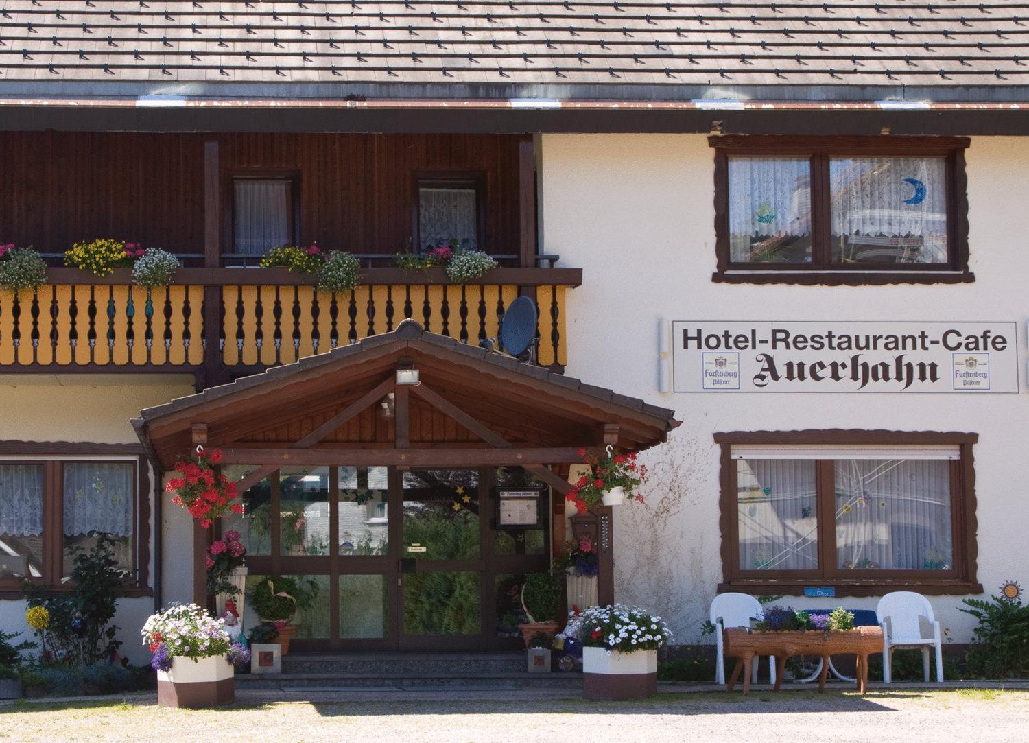 Hotel Bed & Breakfast Auerhahn - Black Forest Eisenbach  Zewnętrze zdjęcie