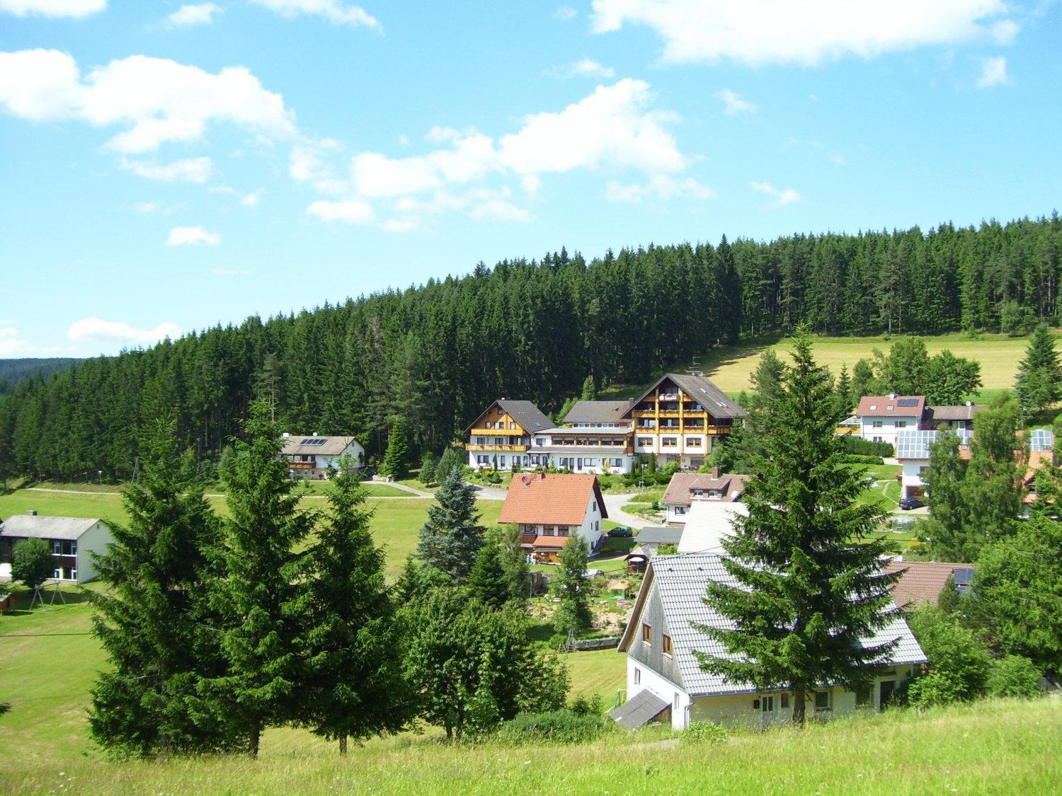 Hotel Bed & Breakfast Auerhahn - Black Forest Eisenbach  Zewnętrze zdjęcie