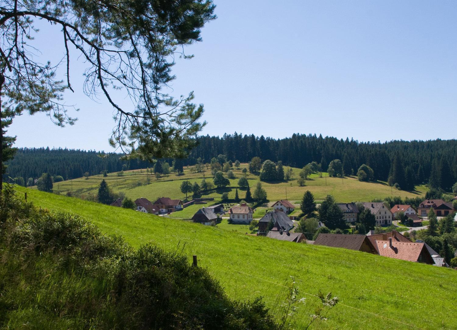 Hotel Bed & Breakfast Auerhahn - Black Forest Eisenbach  Zewnętrze zdjęcie