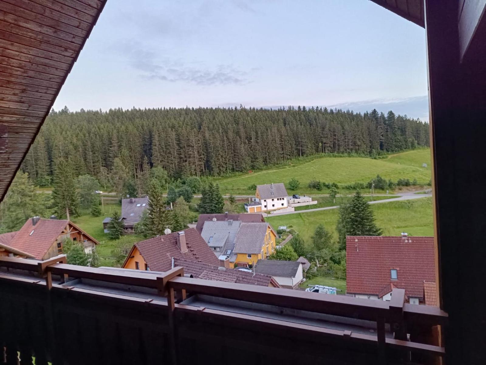 Auerhahn Bed And Breakfast - Black Forest - Waldhotel Eisenbach  Zewnętrze zdjęcie