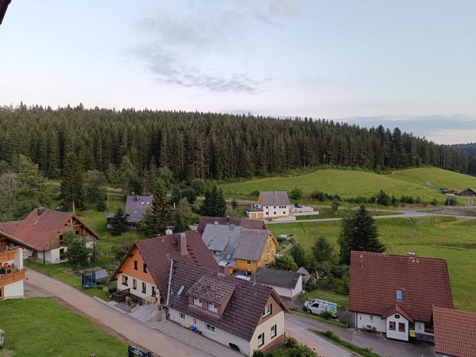 Hotel Bed & Breakfast Auerhahn - Black Forest Eisenbach  Zewnętrze zdjęcie