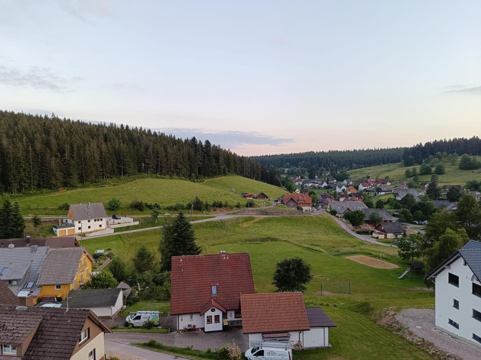 Hotel Bed & Breakfast Auerhahn - Black Forest Eisenbach  Zewnętrze zdjęcie