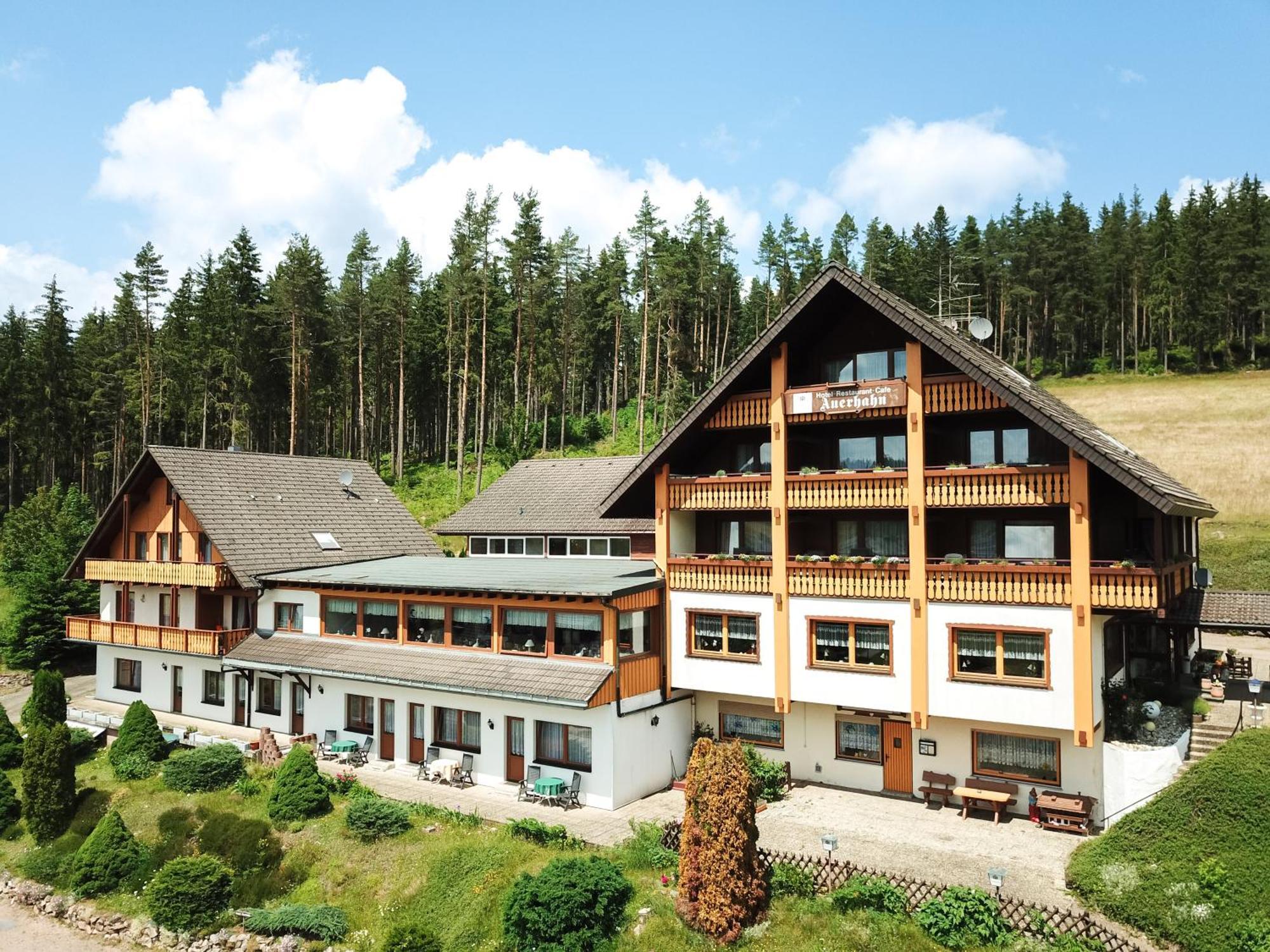 Hotel Bed & Breakfast Auerhahn - Black Forest Eisenbach  Zewnętrze zdjęcie