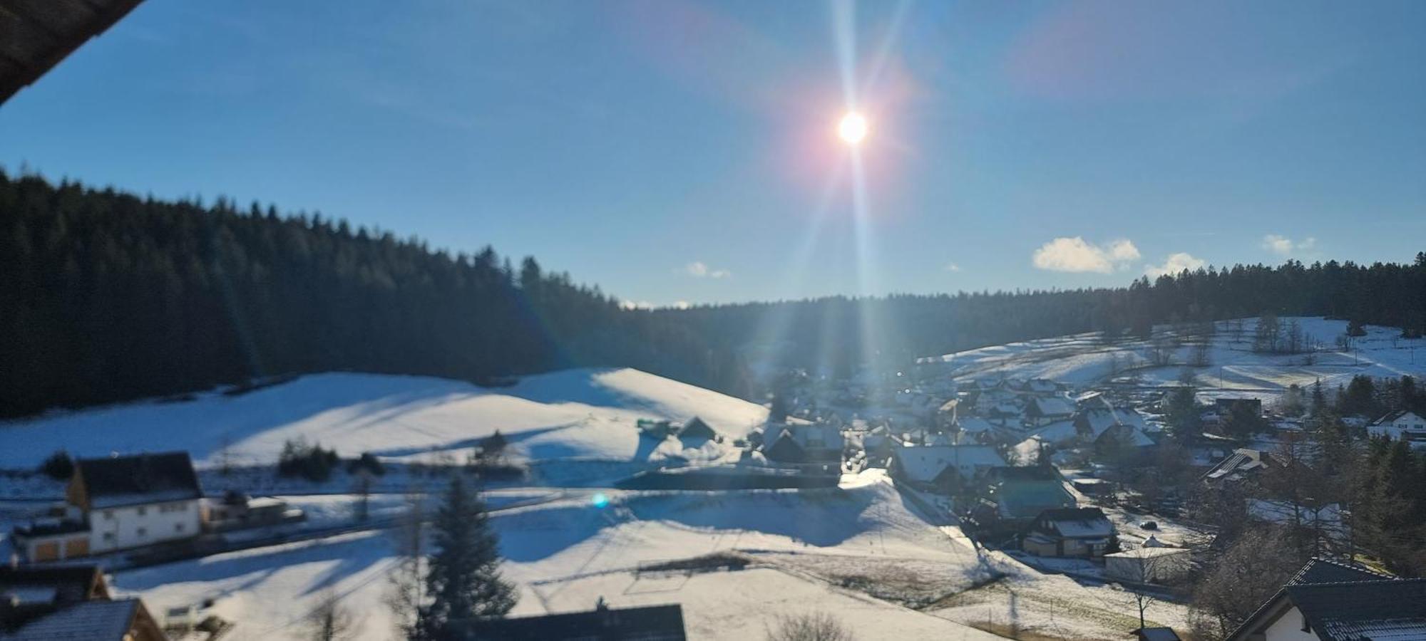 Auerhahn Bed And Breakfast - Black Forest - Waldhotel Eisenbach  Zewnętrze zdjęcie
