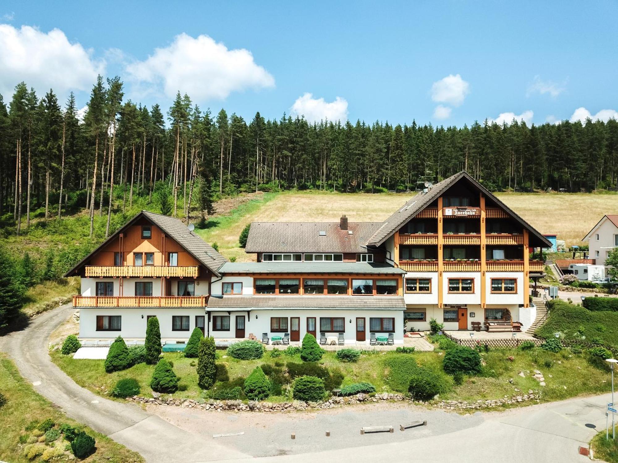 Auerhahn Bed And Breakfast - Black Forest - Waldhotel Eisenbach  Zewnętrze zdjęcie