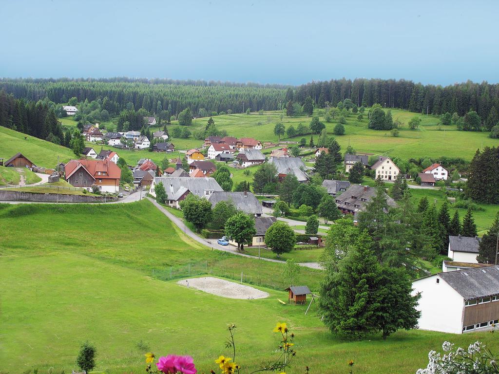 Hotel Bed & Breakfast Auerhahn - Black Forest Eisenbach  Zewnętrze zdjęcie